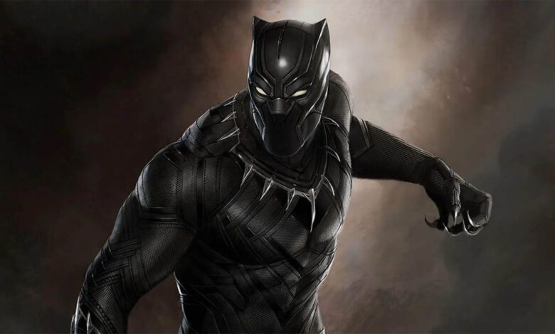 Black Panther hijo wakanda
