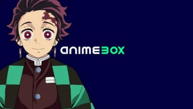 Qué es y cuándo llega Animebox?