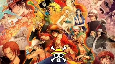 ¿Cuántos años han pasado en One Piece desde que empezó el anime?