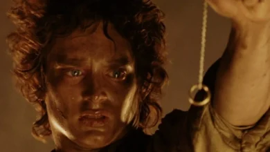 ¿Por qué Frodo fue elegido para llevar el Anillo Único?
